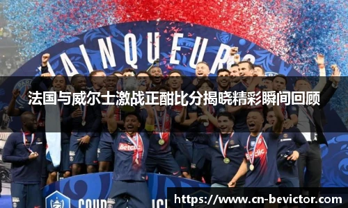法国与威尔士激战正酣比分揭晓精彩瞬间回顾
